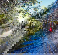 Serenity Cruise to Australia's Everglades - Accommodation Brunswick Heads