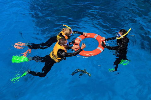 Great Barrier Reef Adventure From Cairns - Accommodation Brunswick Heads 2