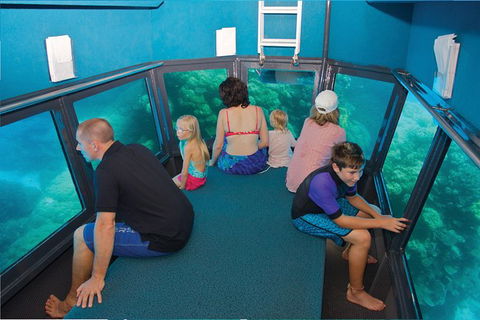 Great Barrier Reef Adventure From Cairns - Accommodation Brunswick Heads 3