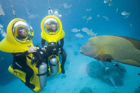 Great Barrier Reef Adventure From Cairns - Accommodation Brunswick Heads 5