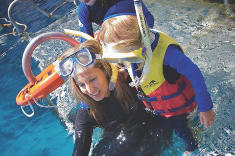 Great Barrier Reef Adventure From Cairns - Accommodation Brunswick Heads 4