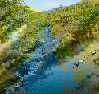 Cruise 'n' Canoe to Australia's Everglades - Accommodation Brunswick Heads