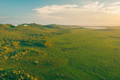 Everglades Eco Safari To Australia\'s Everglades - Accommodation Brunswick Heads 14