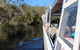 Everglades Eco Safari To Australia\'s Everglades - thumb 3
