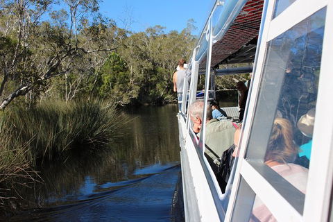 Everglades Eco Safari To Australia\'s Everglades - Accommodation Brunswick Heads 3