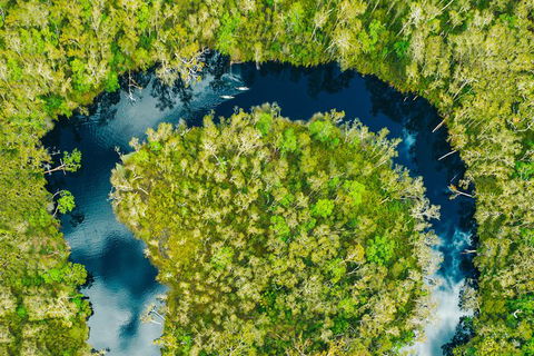 Everglades Eco Safari To Australia\'s Everglades - Accommodation Brunswick Heads 8