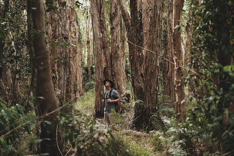 Everglades Eco Safari To Australia\'s Everglades - Accommodation Brunswick Heads 7