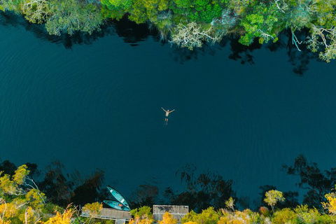 Everglades Eco Safari To Australia\'s Everglades - Accommodation Brunswick Heads 2