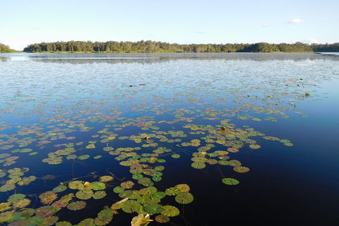 Everglades Eco Safari To Australia\'s Everglades - Accommodation Brunswick Heads 5