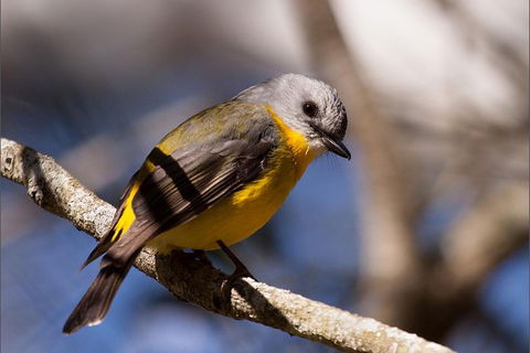 Everglades Eco Safari To Australia\'s Everglades - Accommodation Brunswick Heads 6