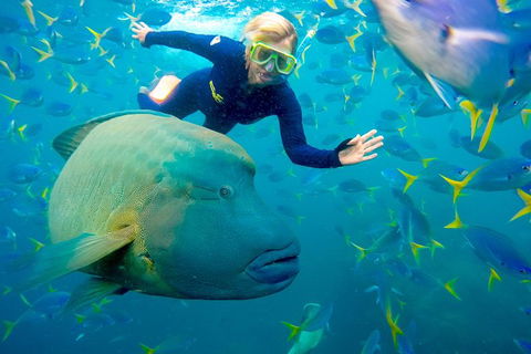 Great Barrier Reef Scenic Flight And Ocean Rafting Whitehaven Beach Day Trip - Accommodation Brunswick Heads 4
