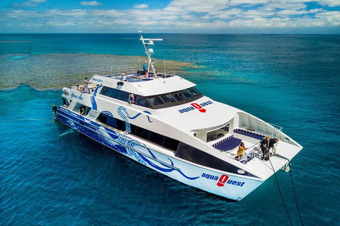 Great Barrier Reef Diving And Snorkeling Cruise From Cairns - Accommodation Brunswick Heads 5