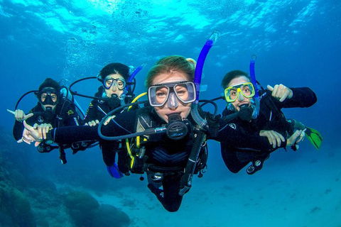 Great Barrier Reef Diving And Snorkeling Cruise From Cairns - Accommodation Brunswick Heads 0