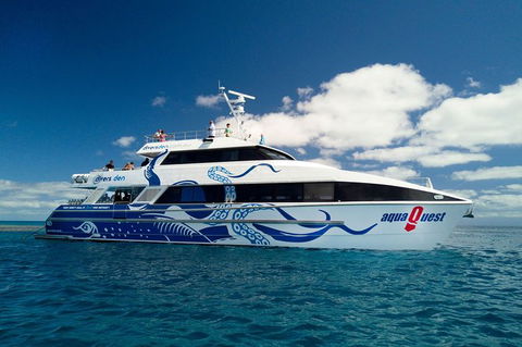 Great Barrier Reef Diving And Snorkeling Cruise From Cairns - Accommodation Brunswick Heads 2
