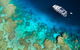 Great Barrier Reef Diving And Snorkeling Cruise From Cairns - thumb 4