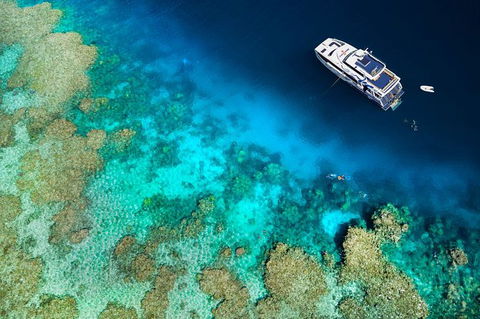 Great Barrier Reef Diving And Snorkeling Cruise From Cairns - Accommodation Brunswick Heads 4