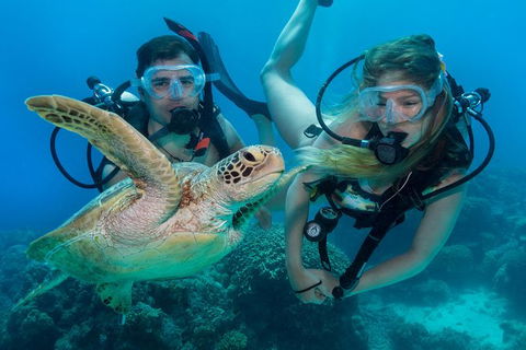 Great Barrier Reef Diving And Snorkeling Cruise From Cairns - Accommodation Brunswick Heads 3