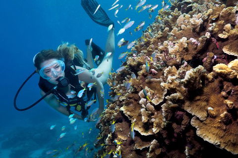 Great Barrier Reef Diving And Snorkeling Cruise From Cairns - Accommodation Brunswick Heads 7