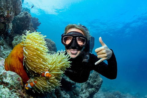 Great Barrier Reef Diving And Snorkeling Cruise From Cairns - Accommodation Brunswick Heads 6