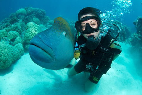 Great Barrier Reef Diving And Snorkeling Cruise From Cairns - Accommodation Brunswick Heads 1