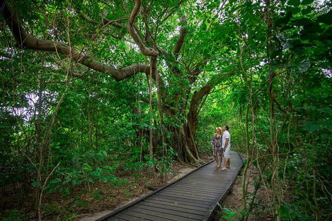 Green Island Day Trip Including Seawalker Helmet Dive COMBO - Accommodation Brunswick Heads 3