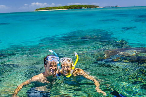 Green Island Day Trip Including Seawalker Helmet Dive COMBO - Accommodation Brunswick Heads 4