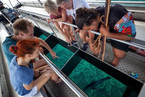 Great Barrier Reef Tour With Indigenous Sea Rangers-Dreamtime Dive And Snorkel - Accommodation Brunswick Heads 4
