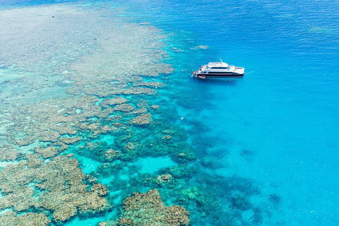 Great Barrier Reef Tour With Indigenous Sea Rangers-Dreamtime Dive And Snorkel - Accommodation Brunswick Heads 3
