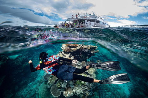 Great Barrier Reef Tour With Indigenous Sea Rangers-Dreamtime Dive And Snorkel - Accommodation Brunswick Heads 7