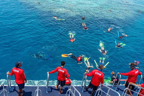 Great Barrier Reef Tour With Indigenous Sea Rangers-Dreamtime Dive And Snorkel - Accommodation Brunswick Heads 2
