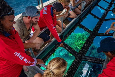 Great Barrier Reef Tour With Indigenous Sea Rangers-Dreamtime Dive And Snorkel - Accommodation Brunswick Heads 6
