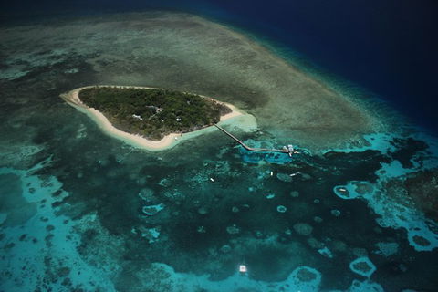 Great Barrier Reef High-Wing Scenic Flight From Cairns - Accommodation Brunswick Heads 4