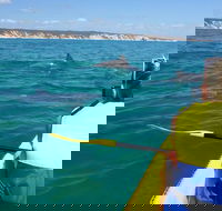 Kayak with Dolphins and 4WD Great Beach Drive Day Trip from Noosa - Accommodation Brunswick Heads