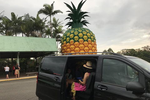 Private Transfer From Sunshine Coast Airport To Noosa 8 Seater + Luggage Trailer - Accommodation Brunswick Heads 2