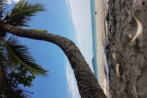 Airport Transfers Between Cairns Airport And Cairns City - Accommodation Brunswick Heads 4
