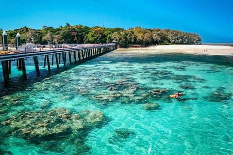 Green Island Discovery Including Glass Bottom Boat Tour Departing Cairns - Accommodation Brunswick Heads 1