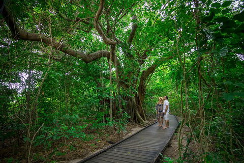 Green Island Discovery Including Glass Bottom Boat Tour Departing Cairns - Accommodation Brunswick Heads 4