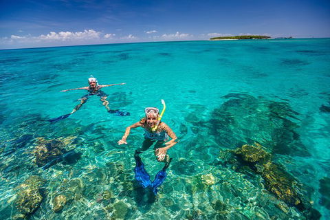 Green Island Discovery Including Glass Bottom Boat Tour Departing Cairns - Accommodation Brunswick Heads 0