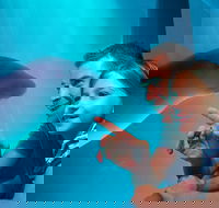 SEA LIFE Sunshine Coast Aquarium Entrance Ticket - Accommodation Brunswick Heads