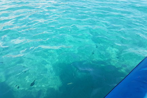 Gold Coast Try-Scuba Experience At Wave Break Island - Accommodation Brunswick Heads 12