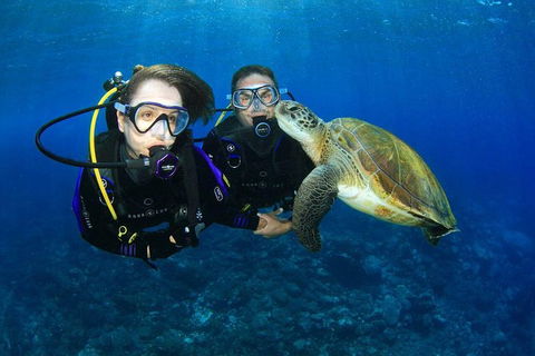 Gold Coast Try-Scuba Experience At Wave Break Island - Accommodation Brunswick Heads 0