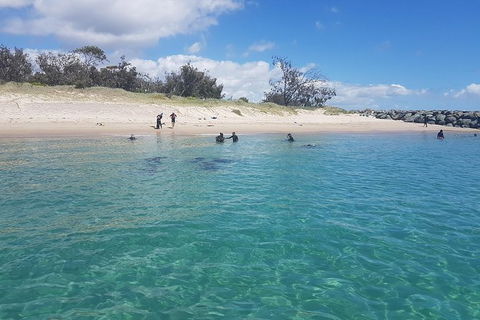 Gold Coast Try-Scuba Experience At Wave Break Island - Accommodation Brunswick Heads 14