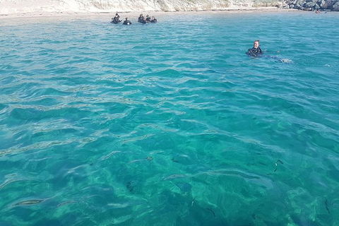 Gold Coast Try-Scuba Experience At Wave Break Island - Accommodation Brunswick Heads 13