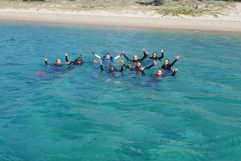 Gold Coast Try-Scuba Experience At Wave Break Island - Accommodation Brunswick Heads 7