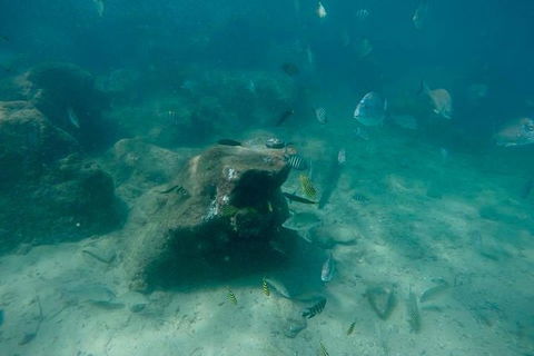 Gold Coast Try-Scuba Experience At Wave Break Island - Accommodation Brunswick Heads 5
