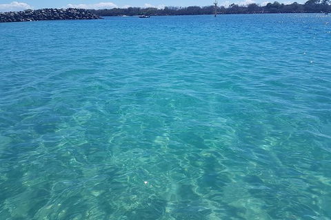 Gold Coast Try-Scuba Experience At Wave Break Island - Accommodation Brunswick Heads 9