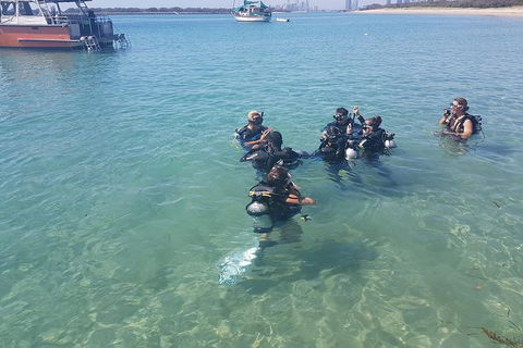Gold Coast Try-Scuba Experience At Wave Break Island - Accommodation Brunswick Heads 11