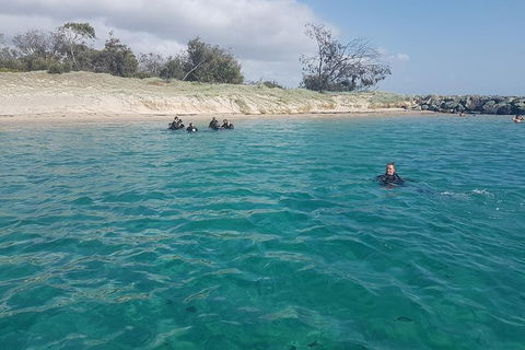 Gold Coast Try-Scuba Experience At Wave Break Island - Accommodation Brunswick Heads 16