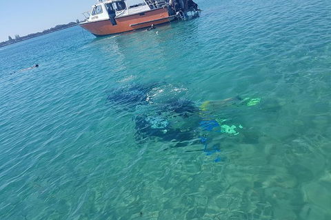Gold Coast Try-Scuba Experience At Wave Break Island - Accommodation Brunswick Heads 15