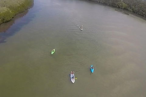 Surf & Kayak = Perfect Half Day Tour - Accommodation Brunswick Heads 18